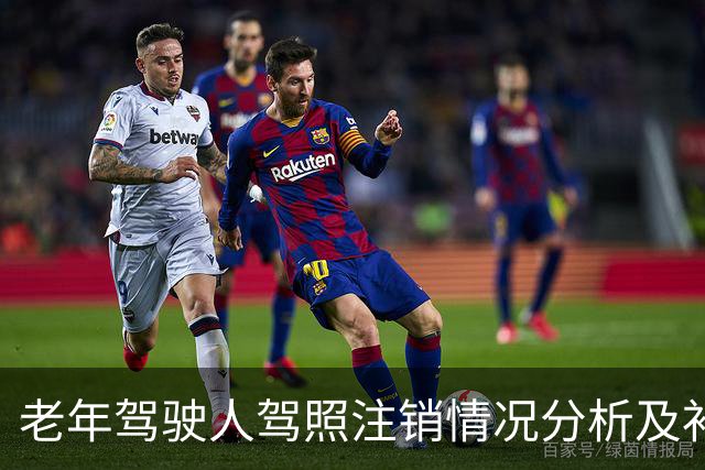 老年驾驶人驾照注销情况分析及补救措施探讨