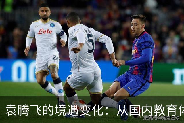 袁腾飞的境遇变化：从国内教育体系到美国医疗负担的对比分析